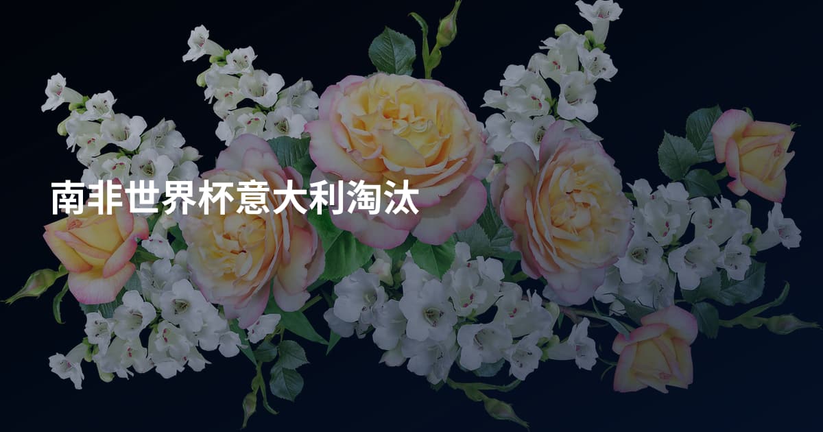南非世界杯意大利淘汰