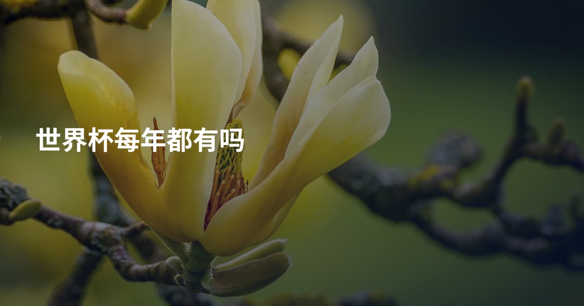 世界杯每年都有吗