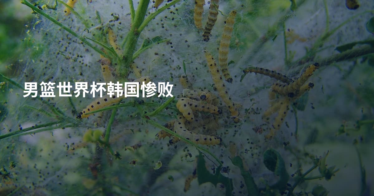 男篮世界杯韩国惨败