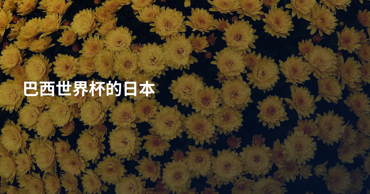 巴西世界杯的日本