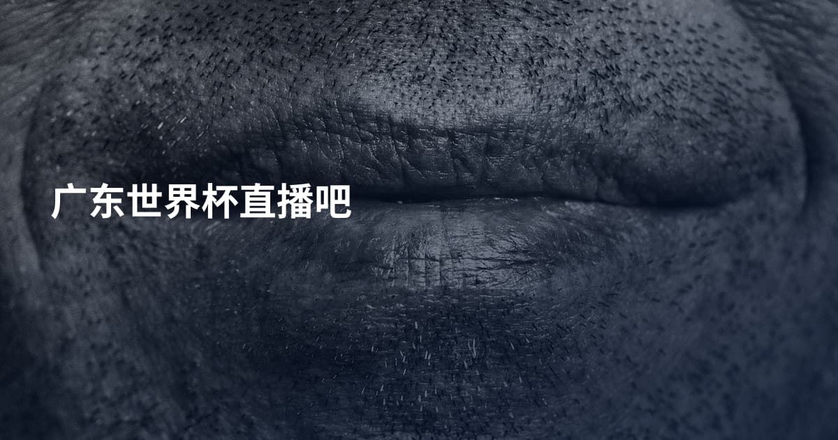 广东世界杯直播吧