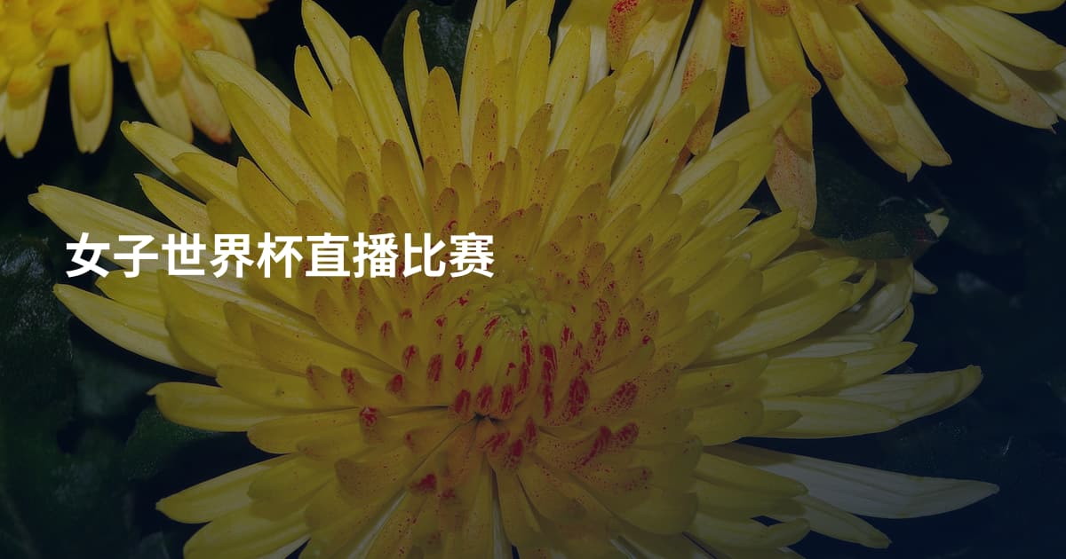 女子世界杯直播比赛