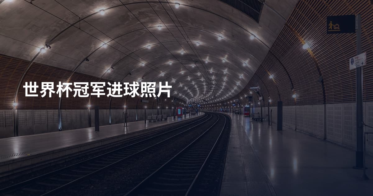 世界杯冠军进球照片