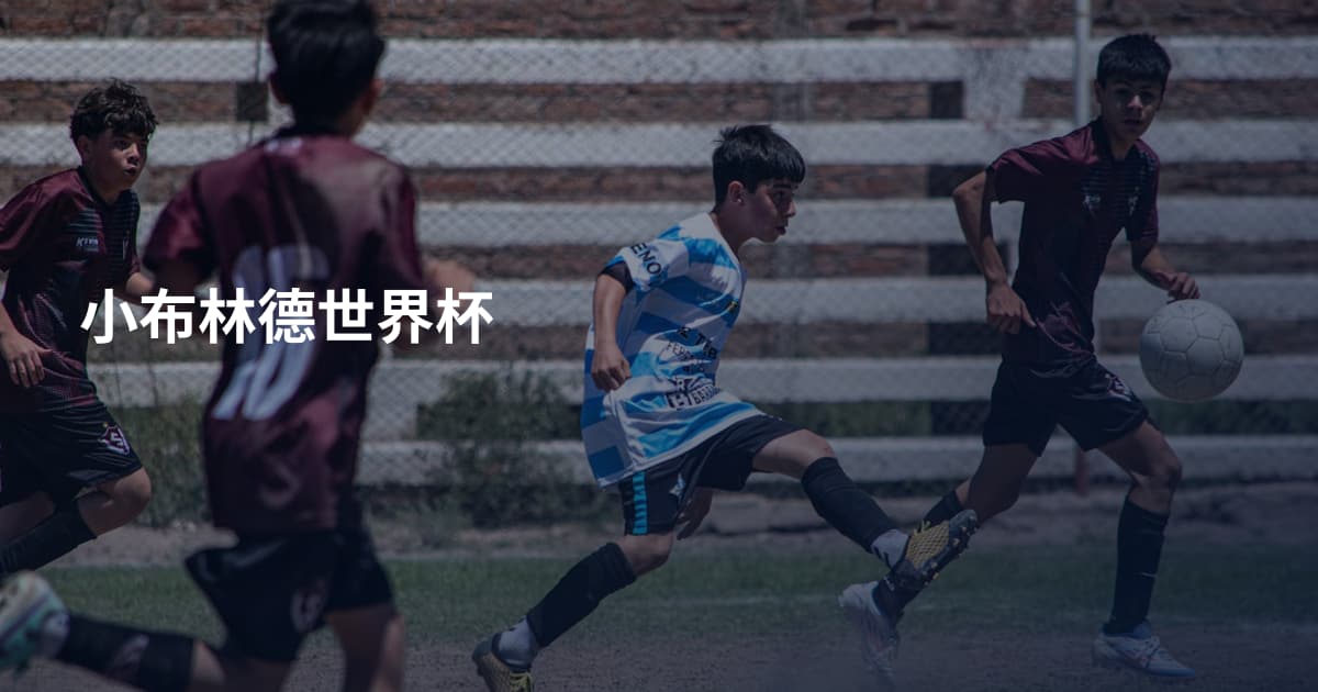 小布林德世界杯