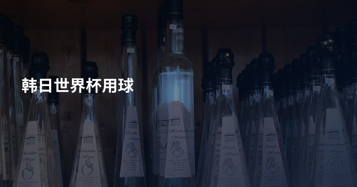 韩日世界杯用球