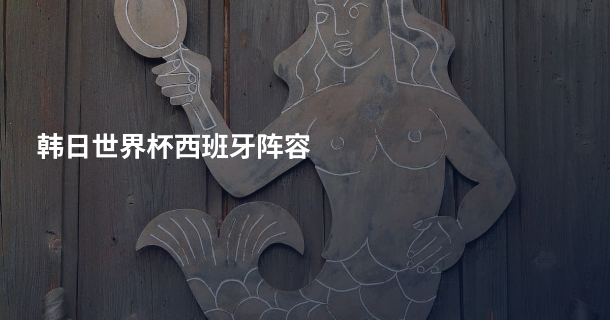 韩日世界杯西班牙阵容