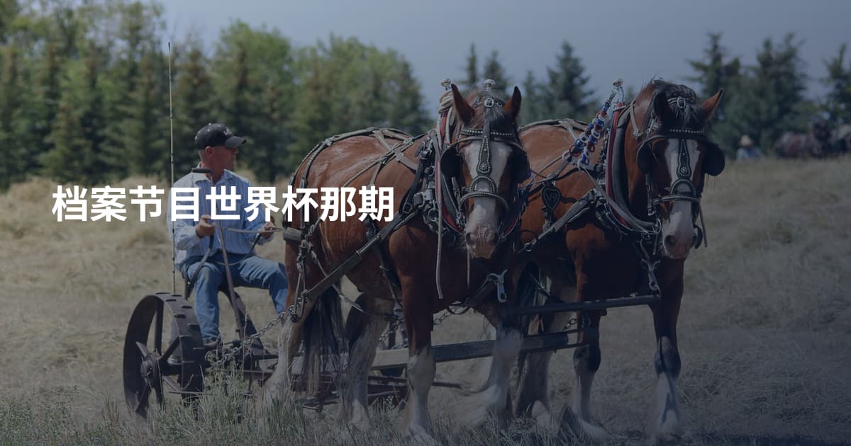 档案节目世界杯那期