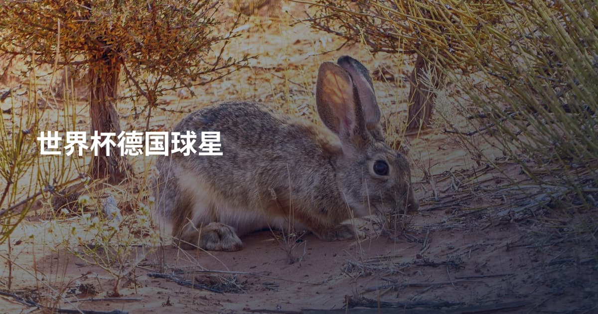 世界杯德国球星