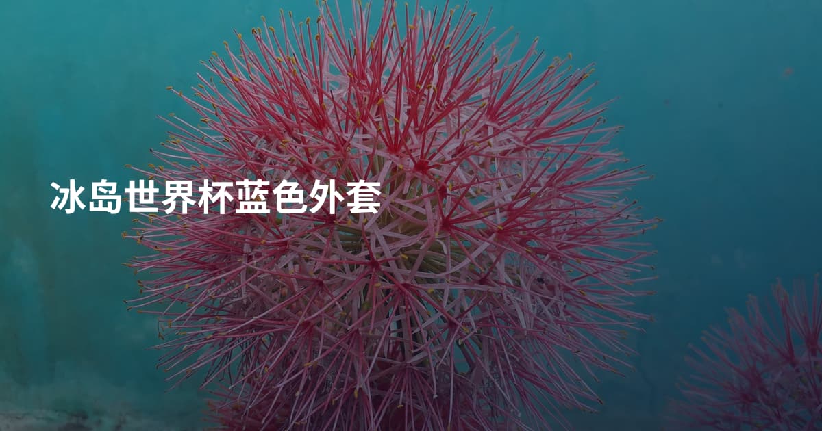 冰岛世界杯蓝色外套