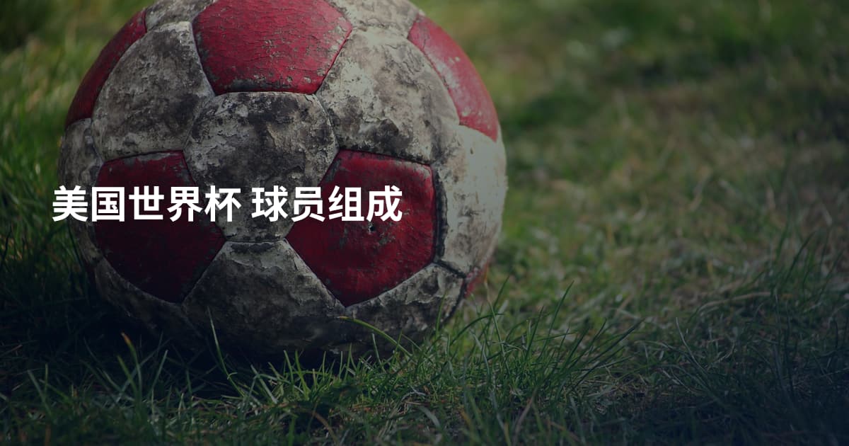 美国世界杯 球员组成