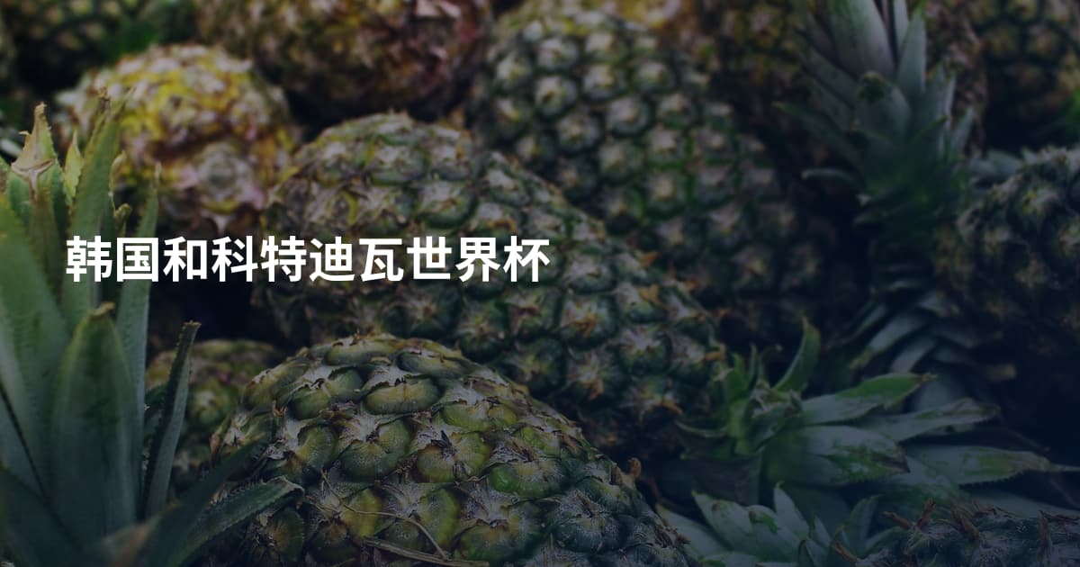 韩国和科特迪瓦世界杯