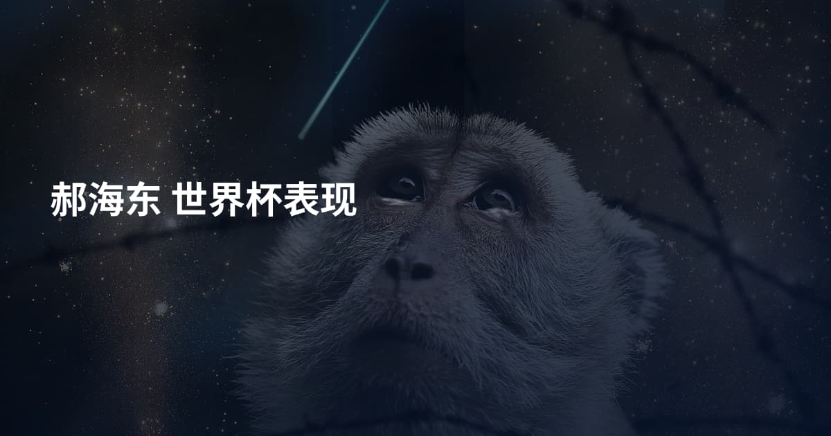 郝海东 世界杯表现