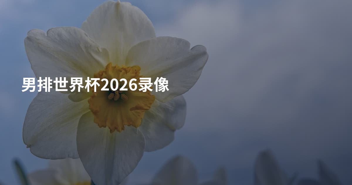 男排世界杯2026录像