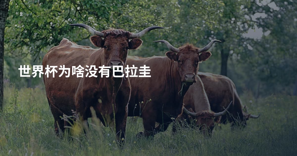 世界杯为啥没有巴拉圭