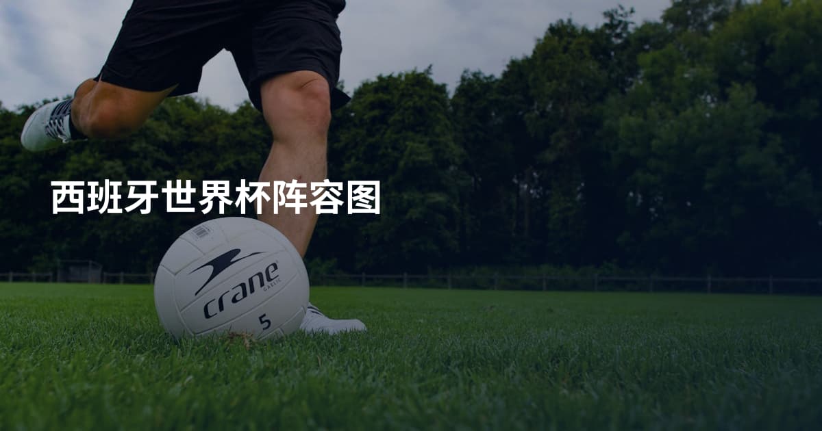 西班牙世界杯阵容图