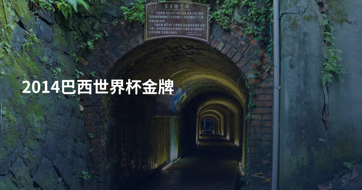 2014巴西世界杯金牌