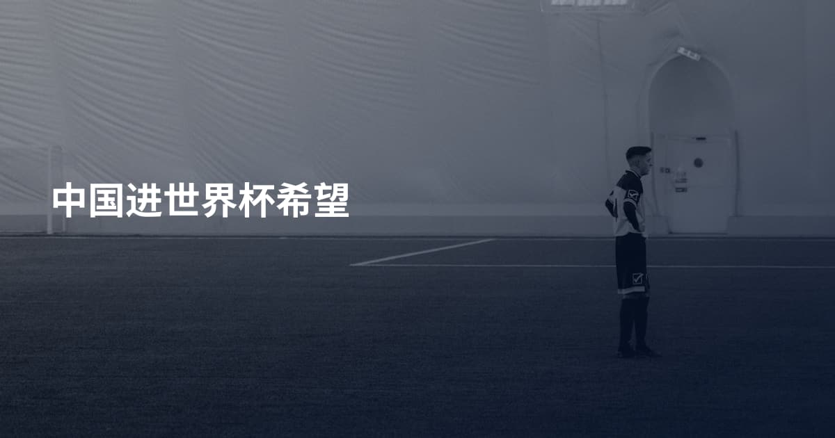 中国进世界杯希望