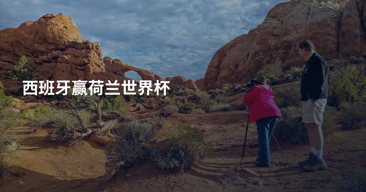西班牙赢荷兰世界杯