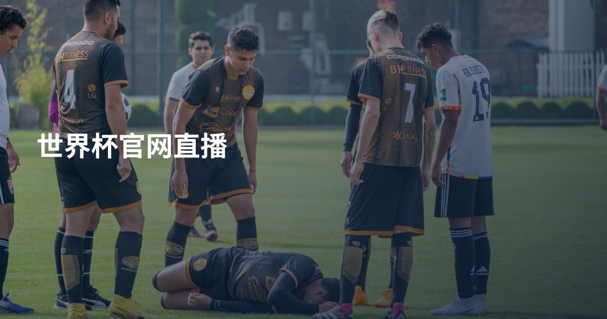 世界杯官网直播