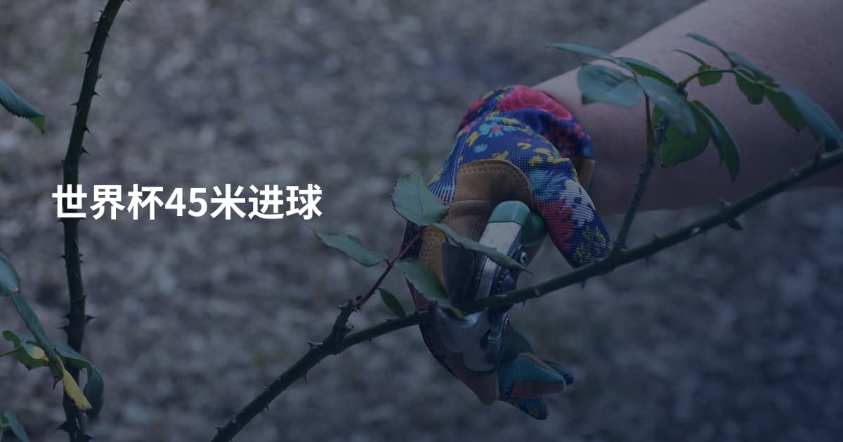 世界杯45米进球