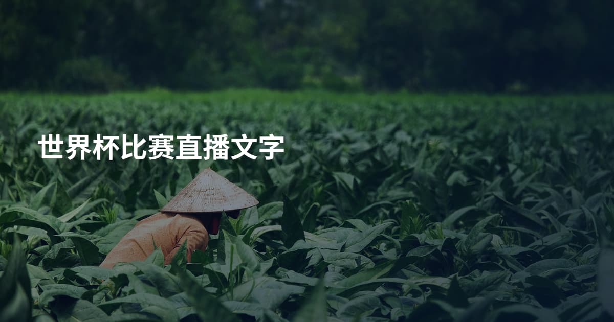 世界杯比赛直播文字