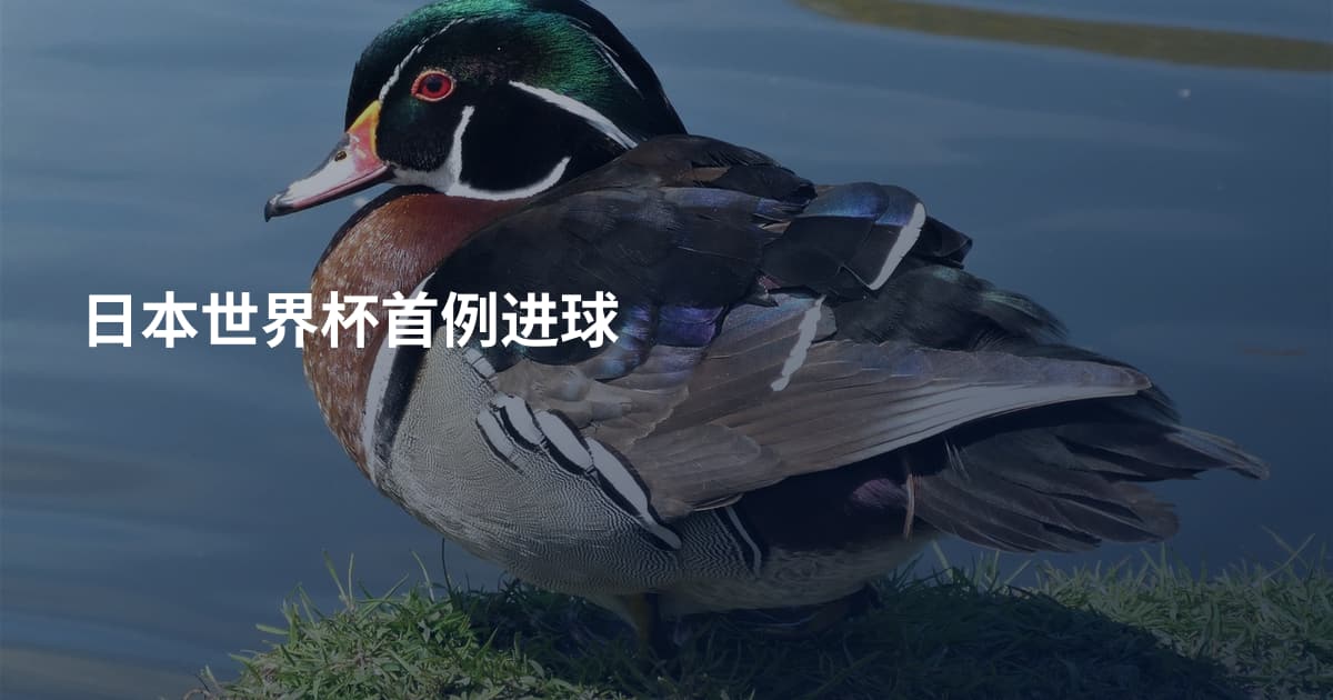 日本世界杯首例进球