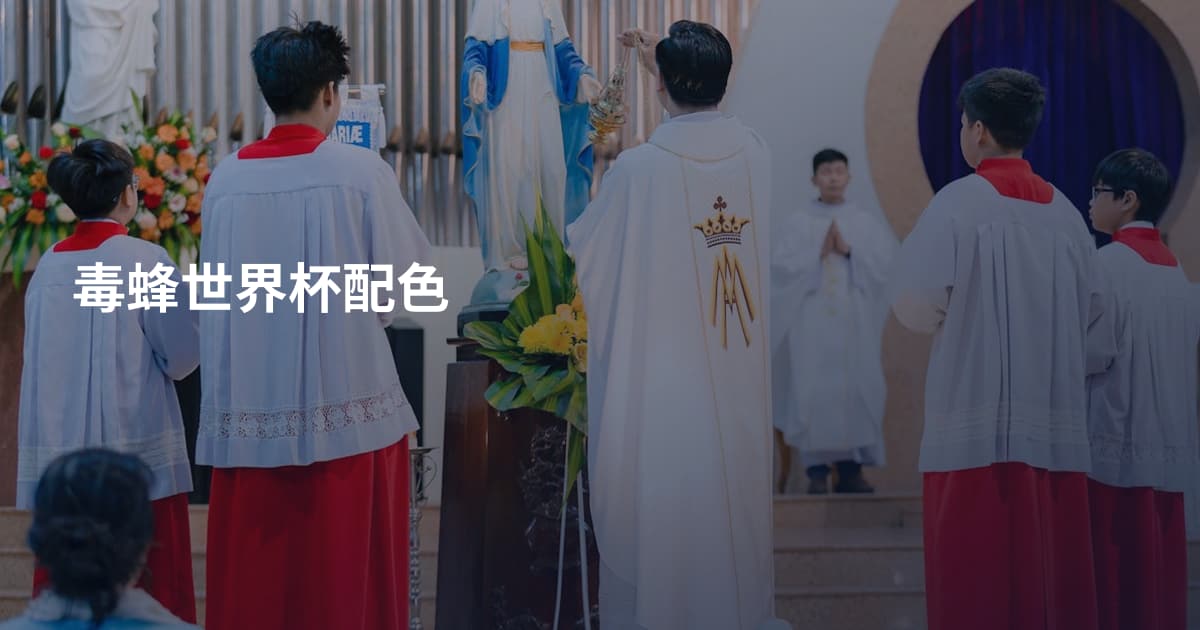 毒蜂世界杯配色