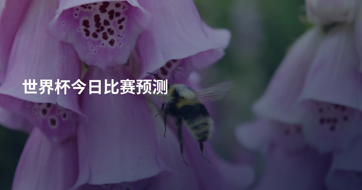 世界杯今日比赛预测