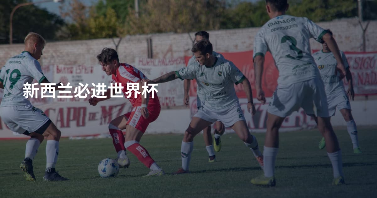 新西兰必进世界杯