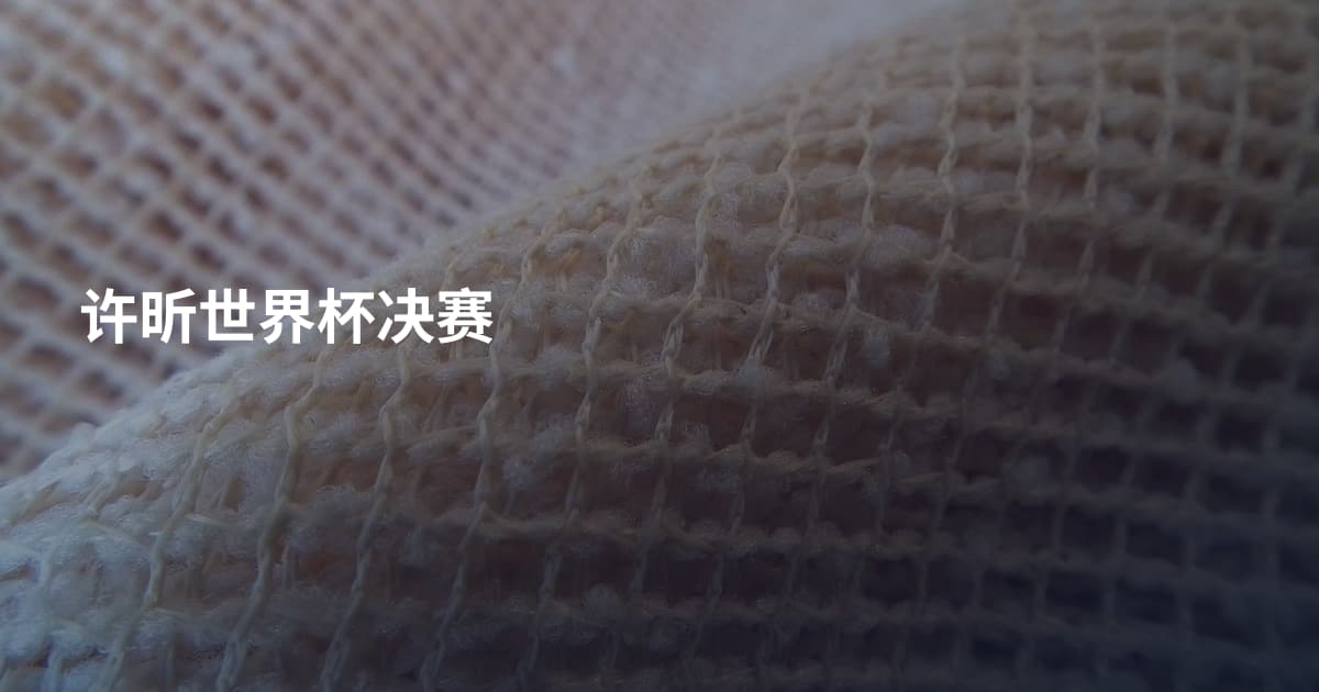 许昕世界杯决赛