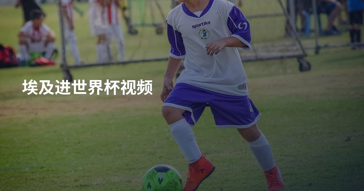 埃及进世界杯视频