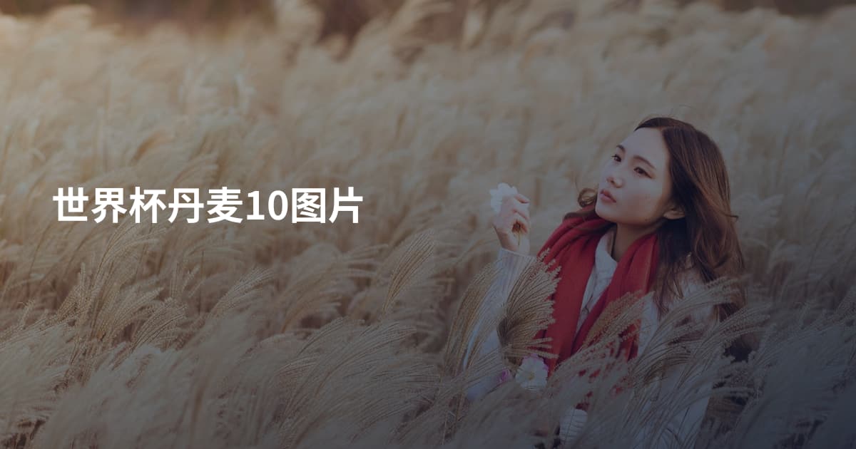 世界杯丹麦10图片