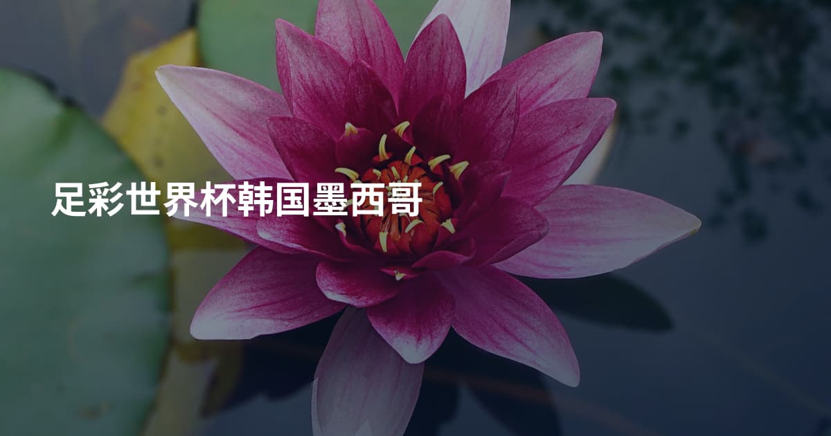 足彩世界杯韩国墨西哥