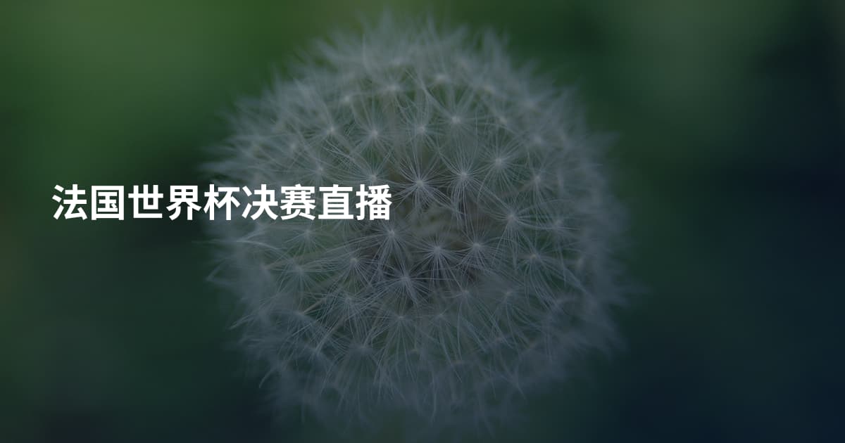 法国世界杯决赛直播