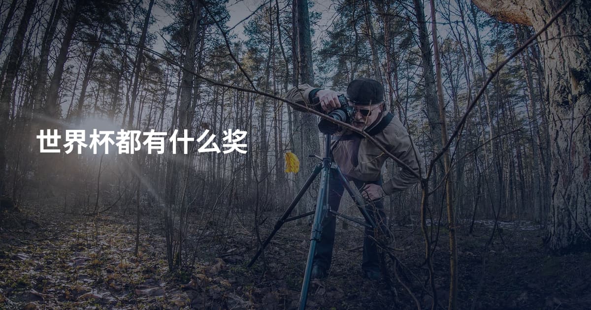 世界杯都有什么奖