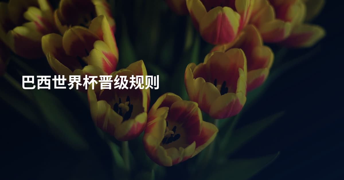 巴西世界杯晋级规则