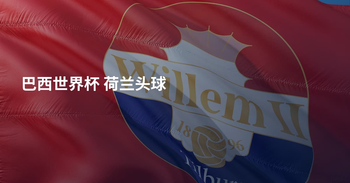 巴西世界杯 荷兰头球