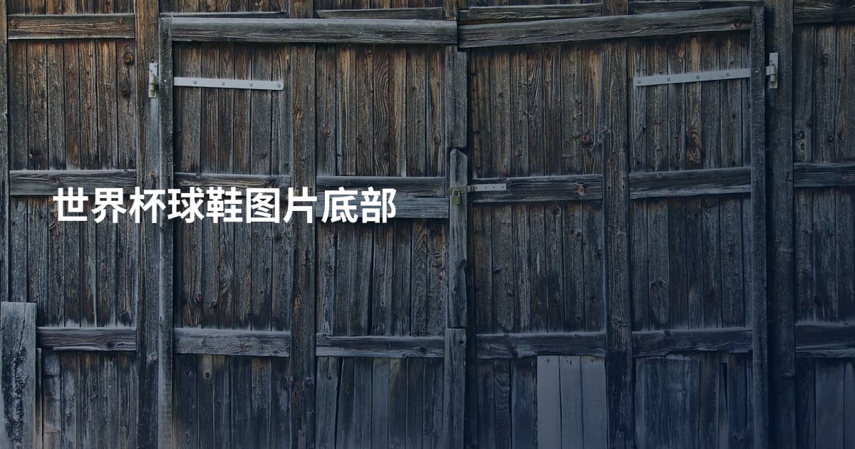世界杯球鞋图片底部
