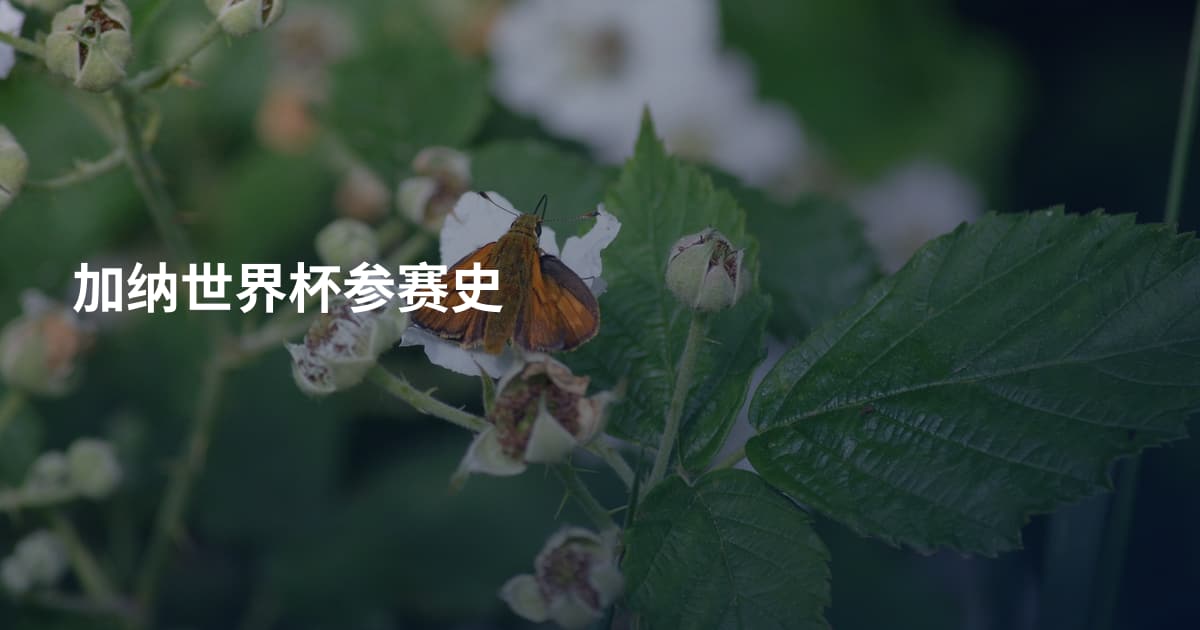 加纳世界杯参赛史