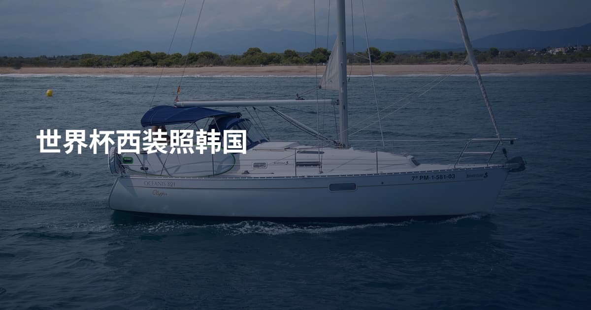 世界杯西装照韩国