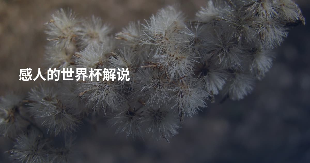 感人的世界杯解说