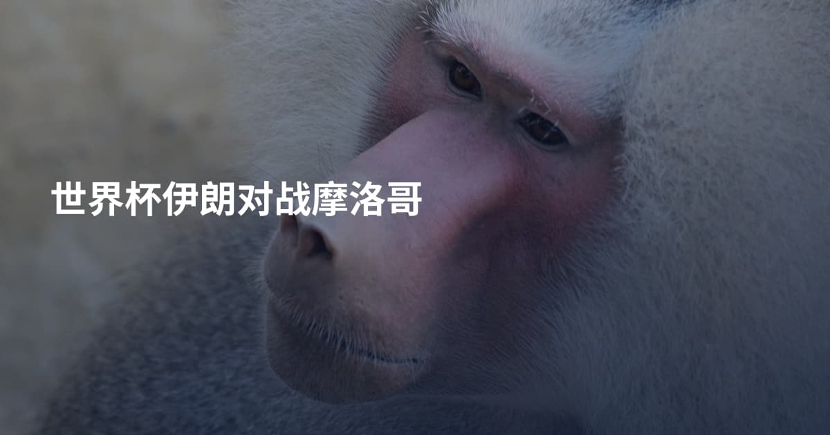 世界杯伊朗对战摩洛哥