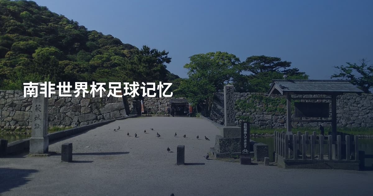 南非世界杯足球记忆