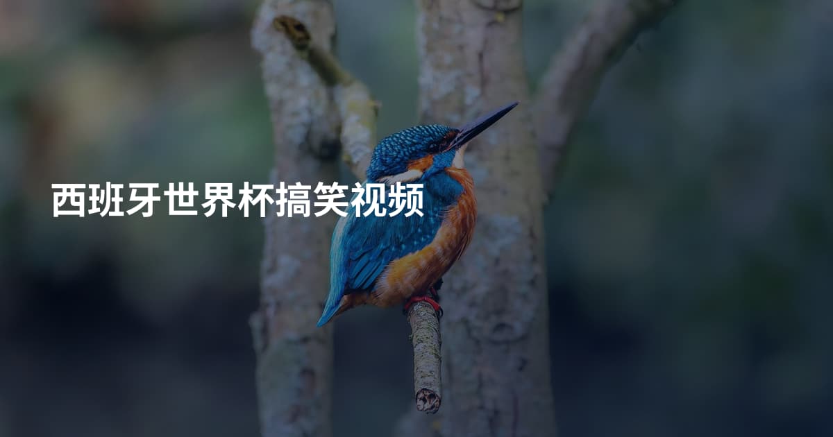 西班牙世界杯搞笑视频
