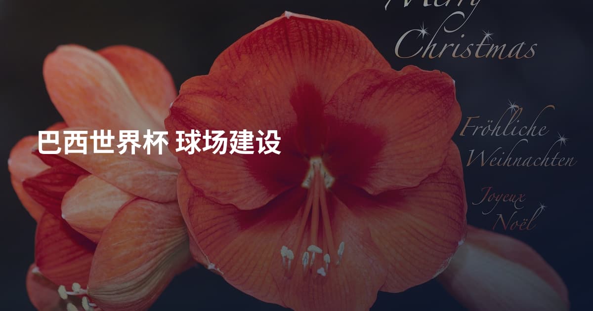 巴西世界杯 球场建设