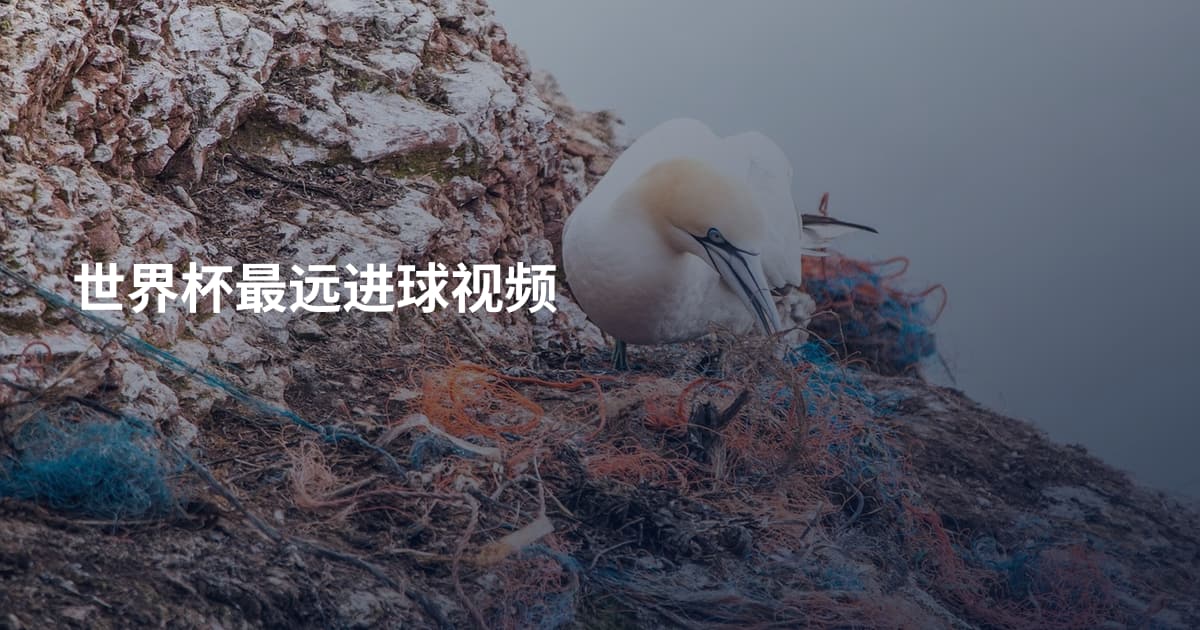 世界杯最远进球视频