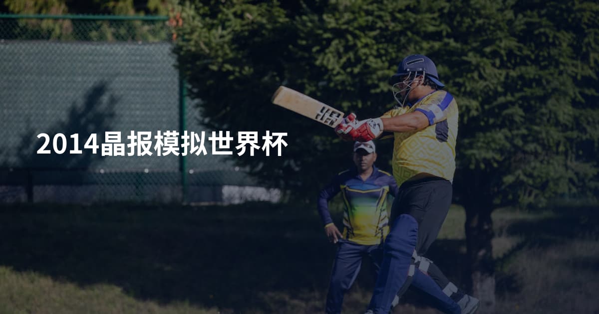 2014晶报模拟世界杯