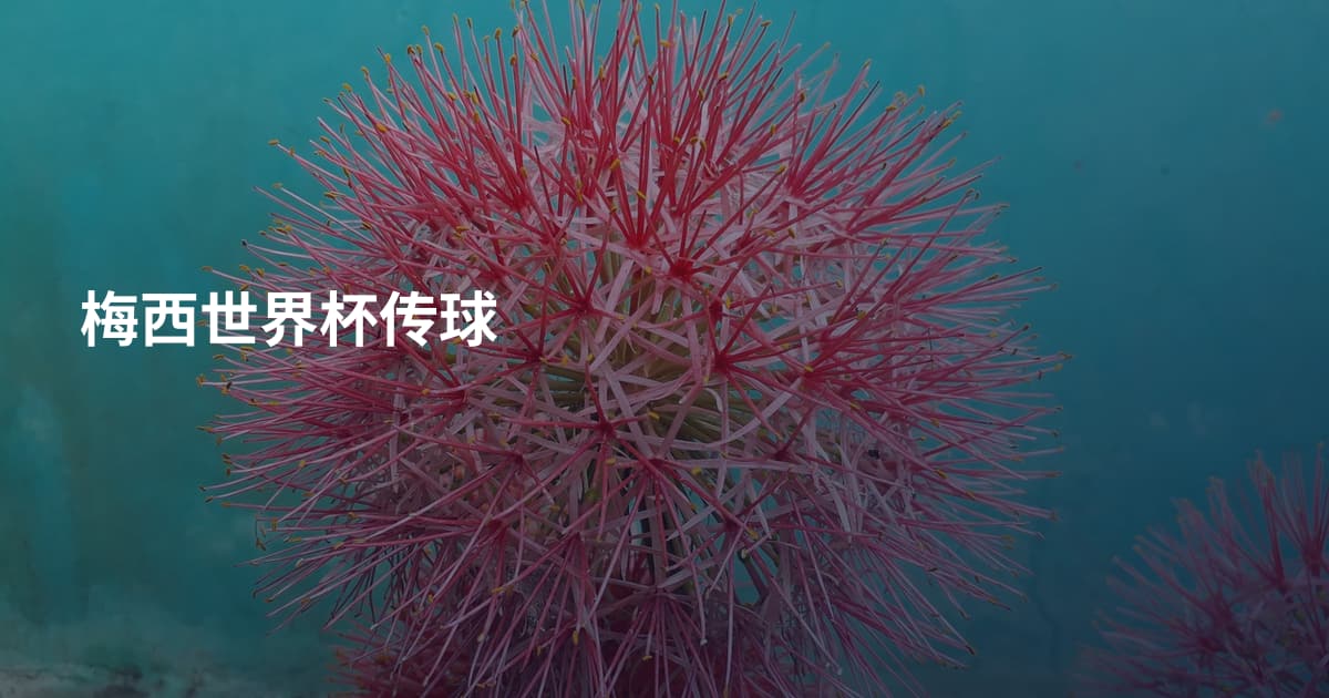 梅西世界杯传球