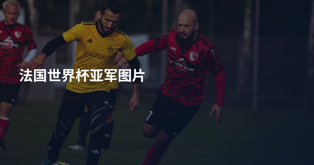 法国世界杯亚军图片