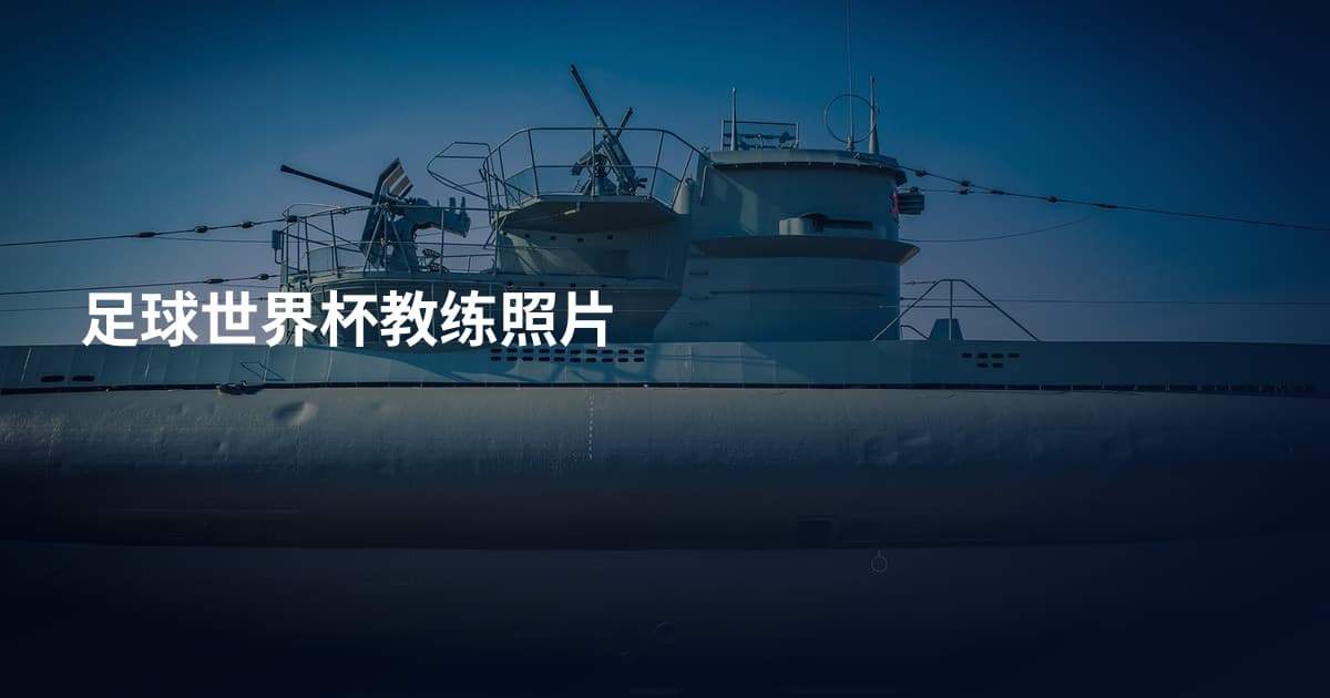 足球世界杯教练照片